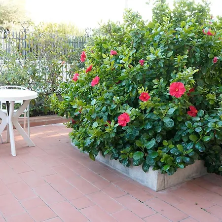 Sogni D'oro